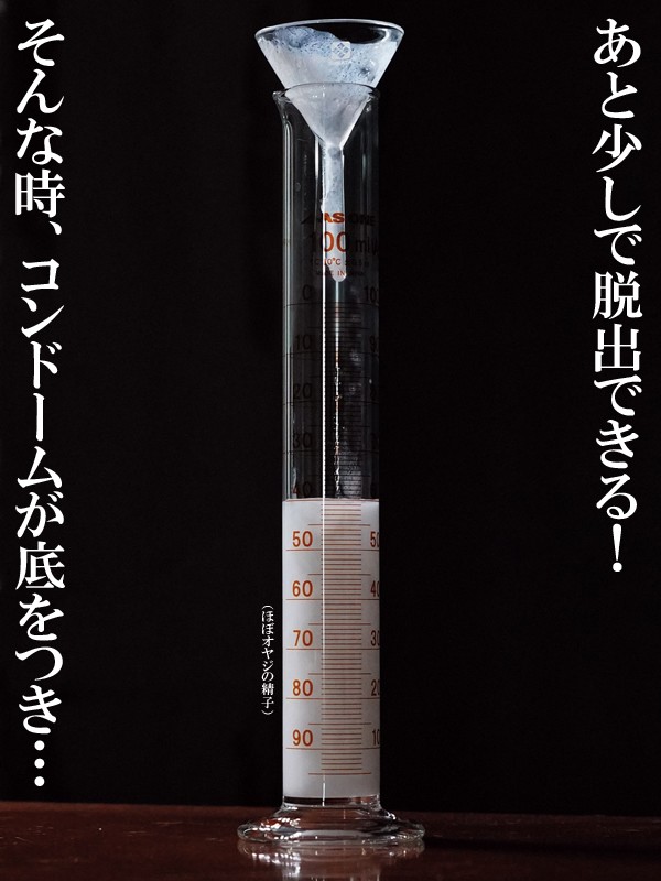 サンプル画像 16