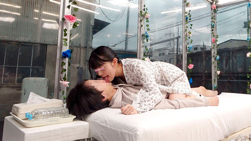 サンプル画像 6