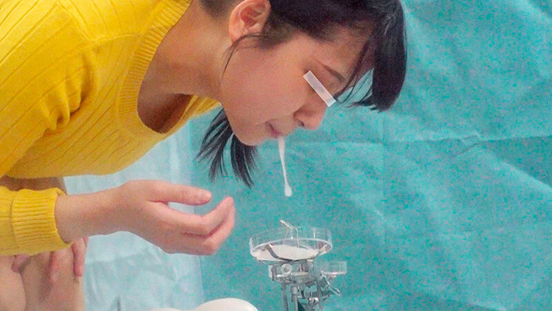 サンプル画像 7