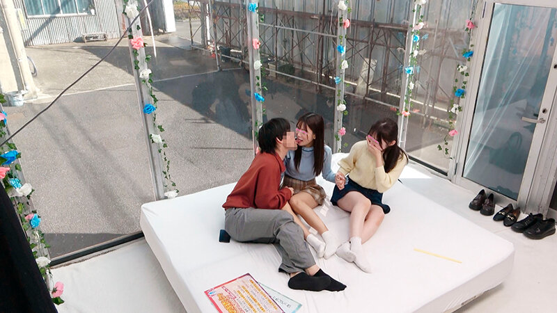 サンプル画像 3