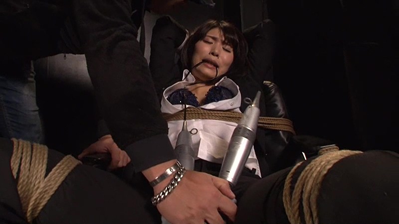 サンプル画像 5