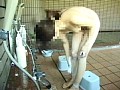 サンプル画像 35