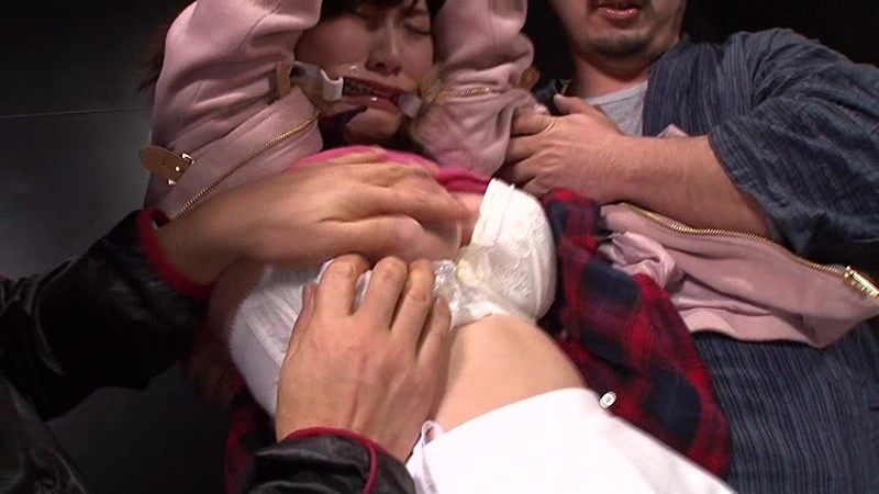 サンプル画像 2