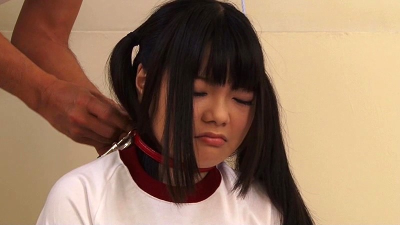 サンプル画像 11