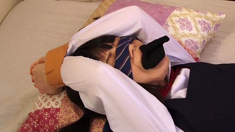 サンプル画像 5