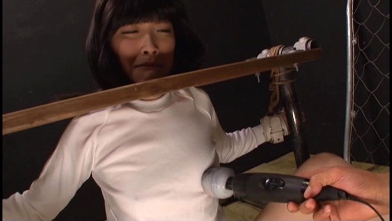 サンプル画像 11