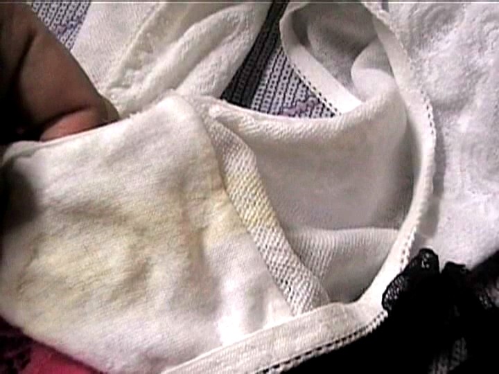 サンプル画像 16