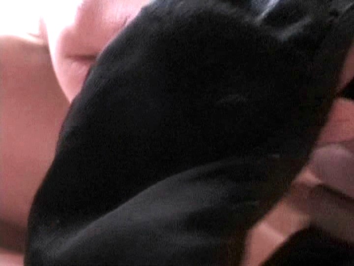 サンプル画像 21