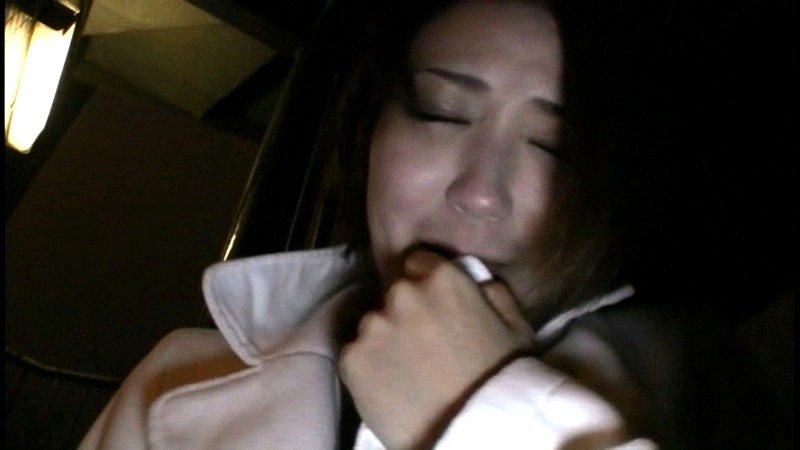 サンプル画像 9