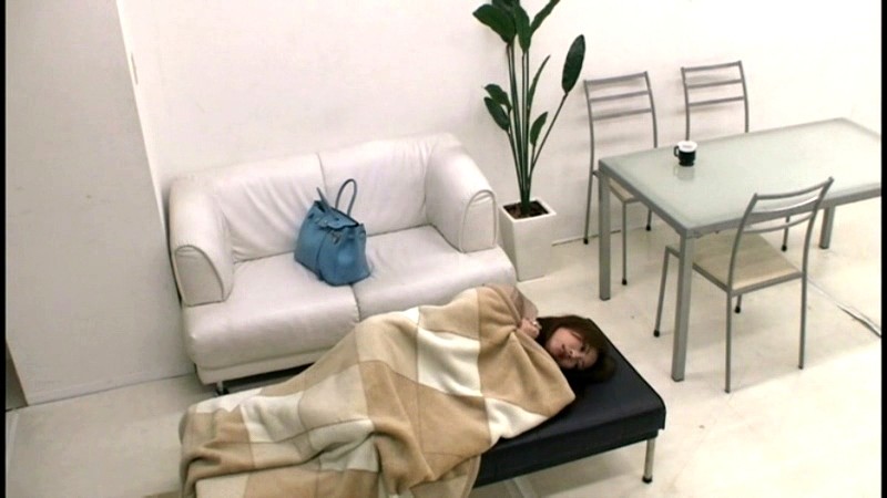 サンプル画像 9