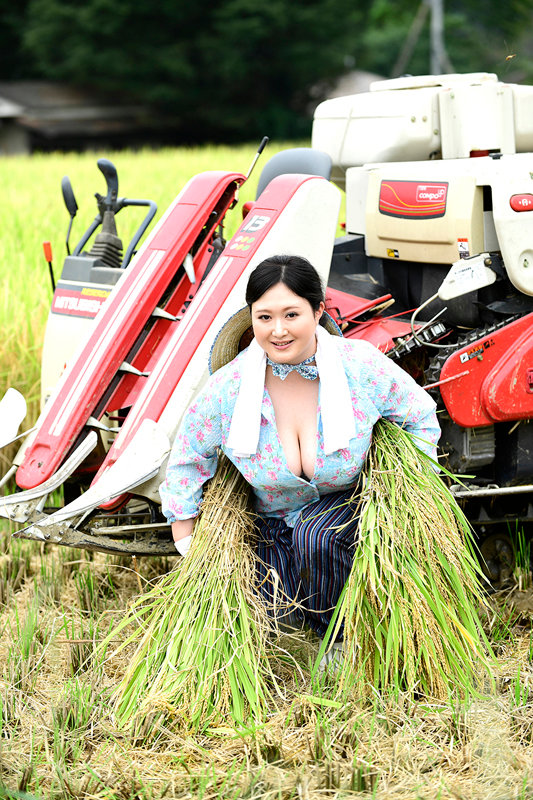 サンプル画像 4