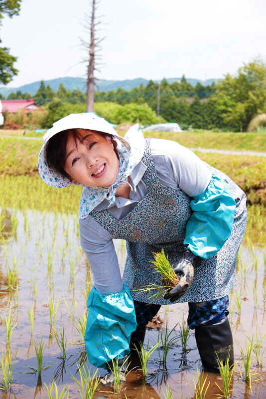 サンプル画像 2