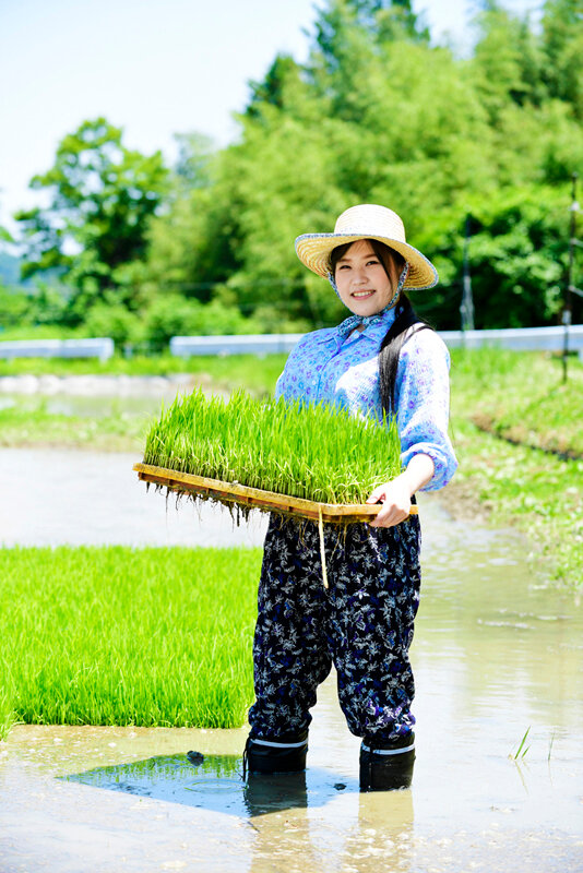 サンプル画像 3