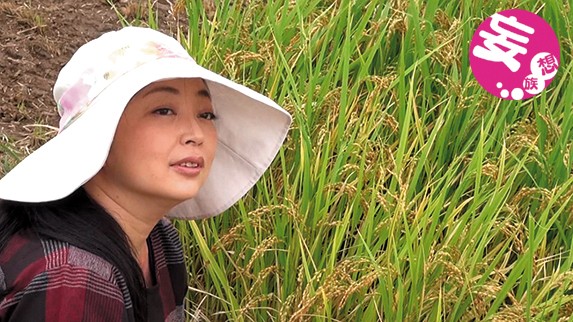 サンプル画像 6