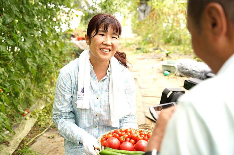 サンプル画像 17