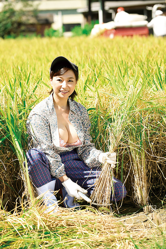 サンプル画像 3