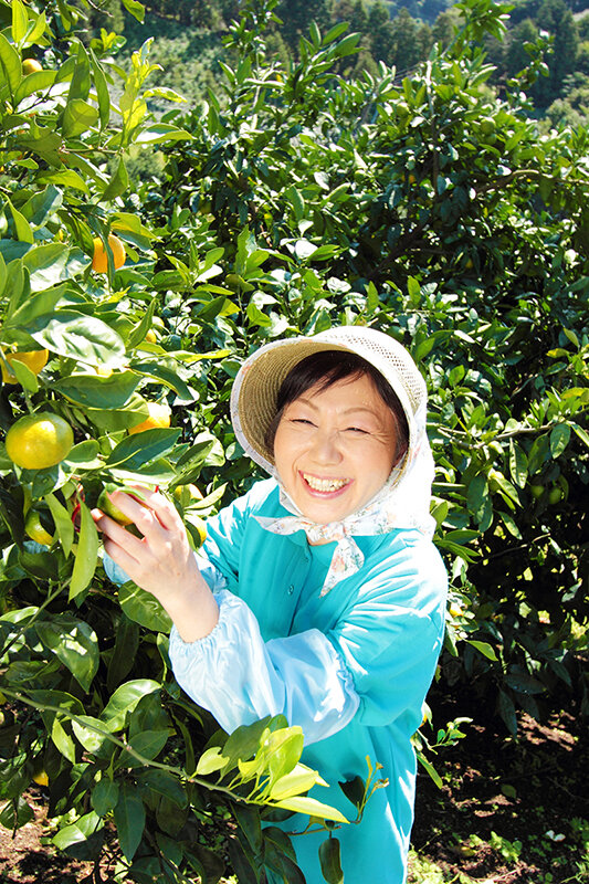 サンプル画像 18