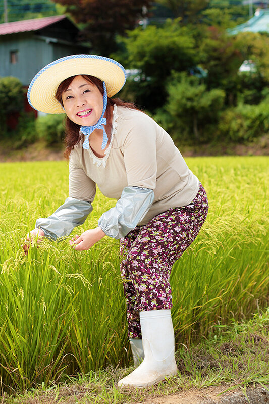 サンプル画像 20