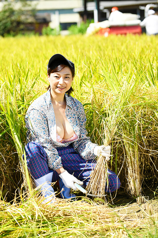 サンプル画像 4