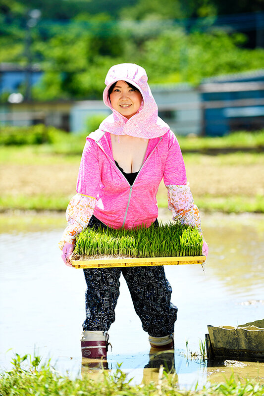 サンプル画像 6