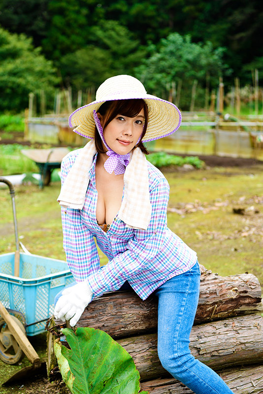 サンプル画像 3