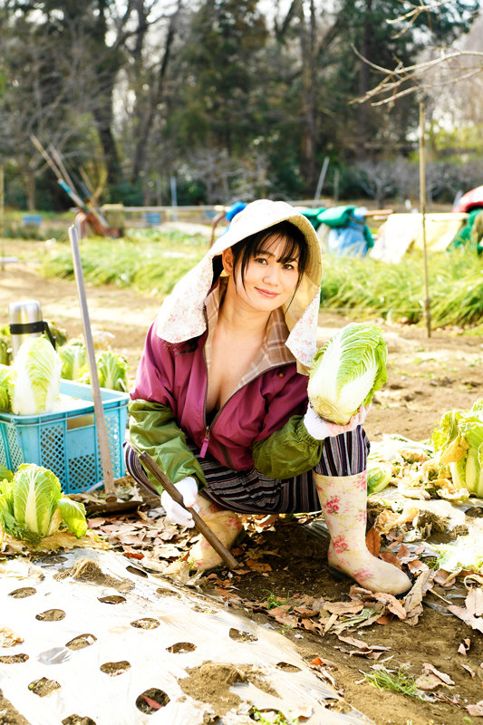 サンプル画像 3