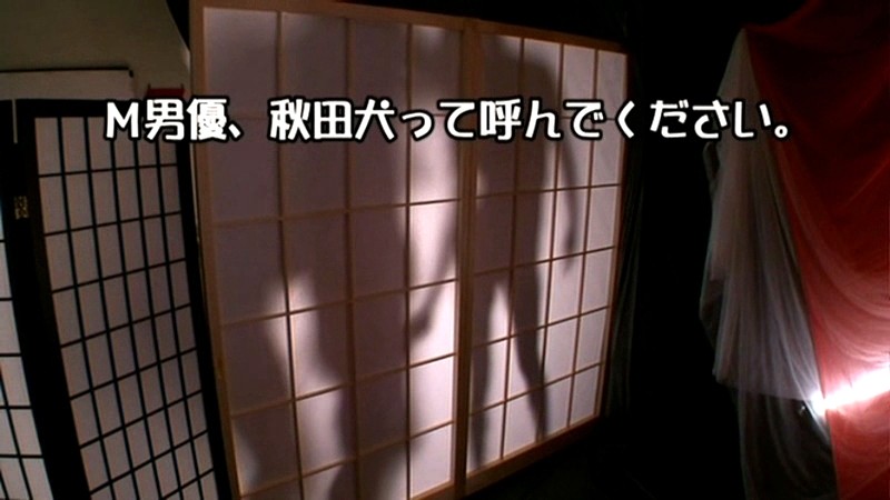 サンプル画像 10