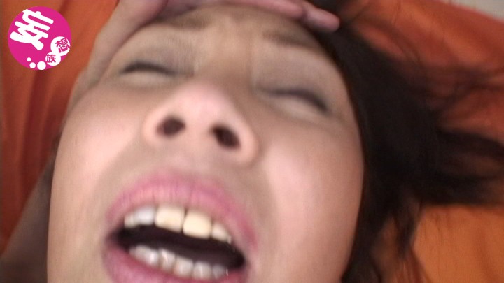 サンプル画像 5