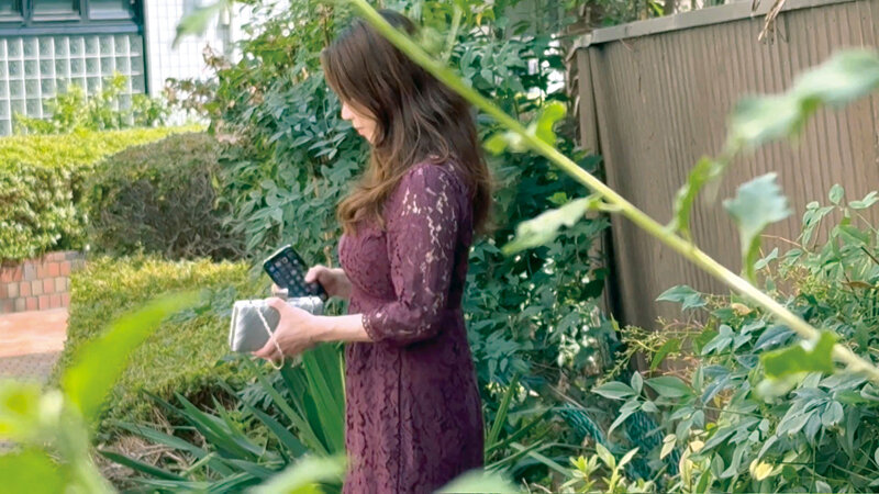 サンプル画像 2