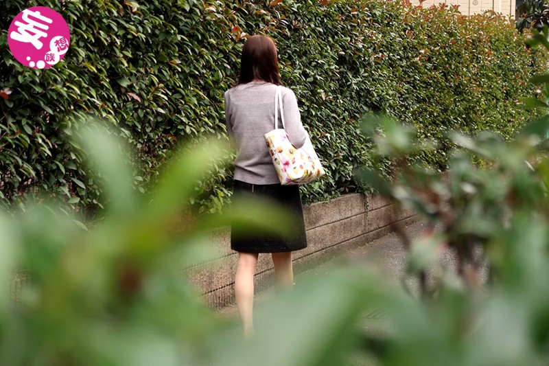 サンプル画像 9