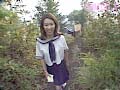 サンプル画像 24