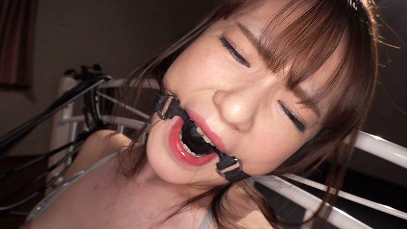 サンプル画像 12