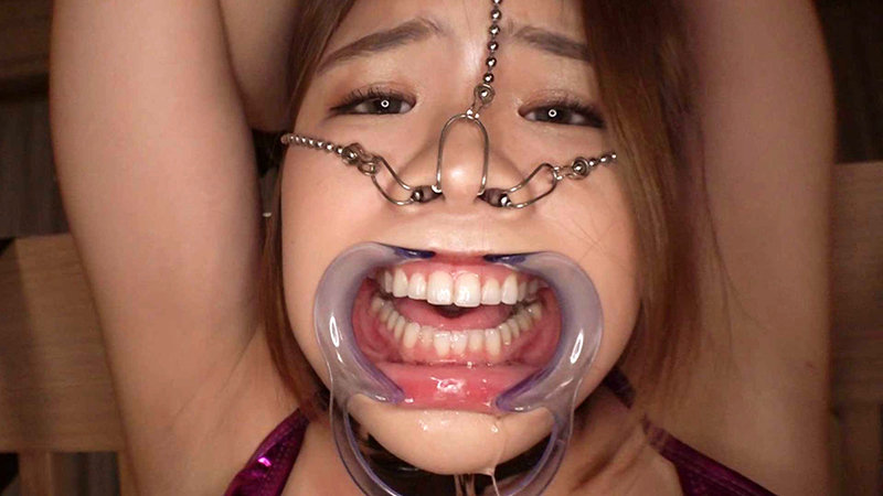 サンプル画像 5