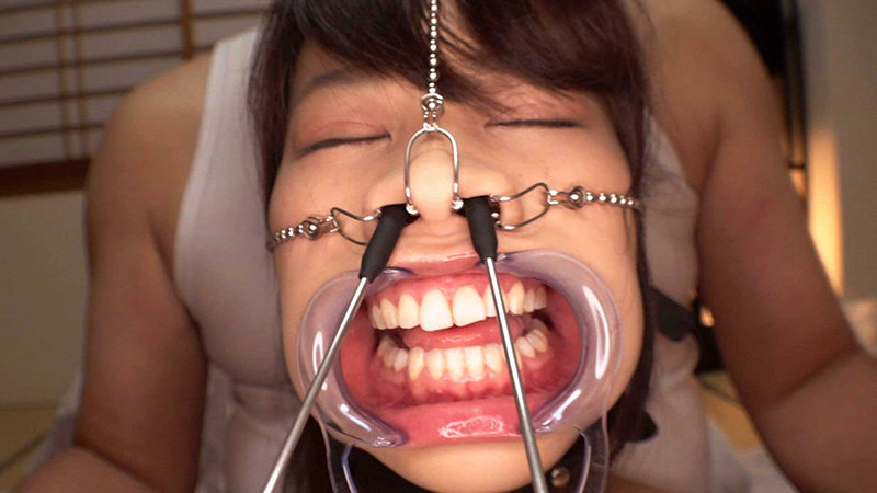 サンプル画像 14