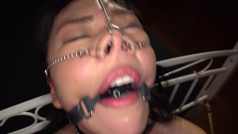 サンプル画像 14