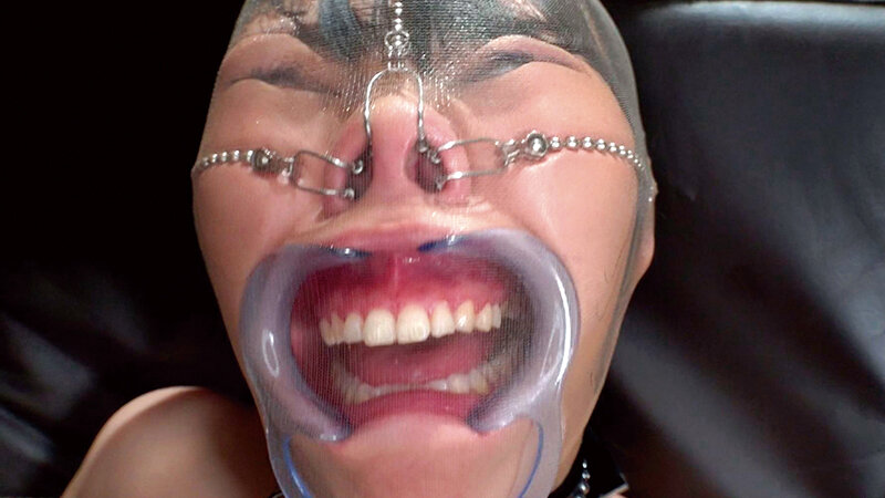 サンプル画像 13