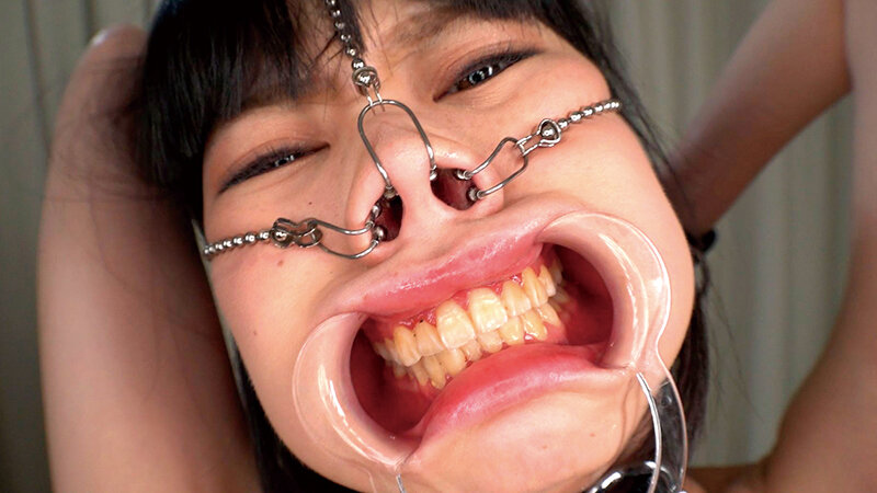 サンプル画像 5