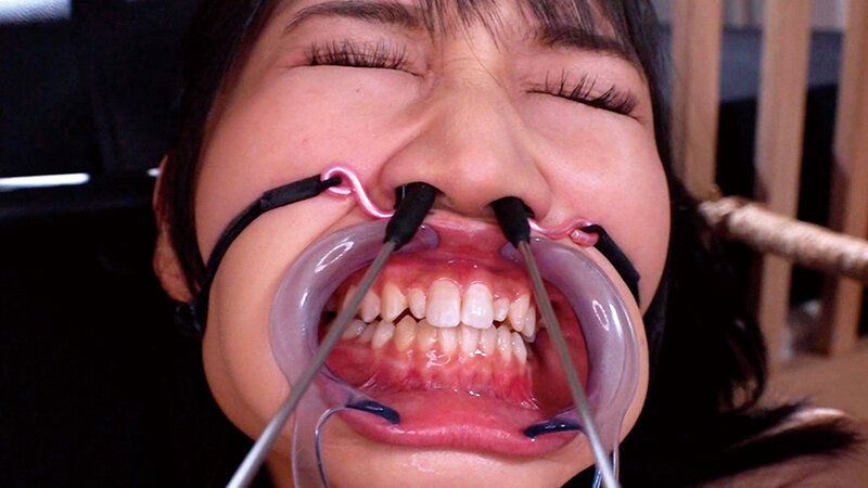 サンプル画像 5