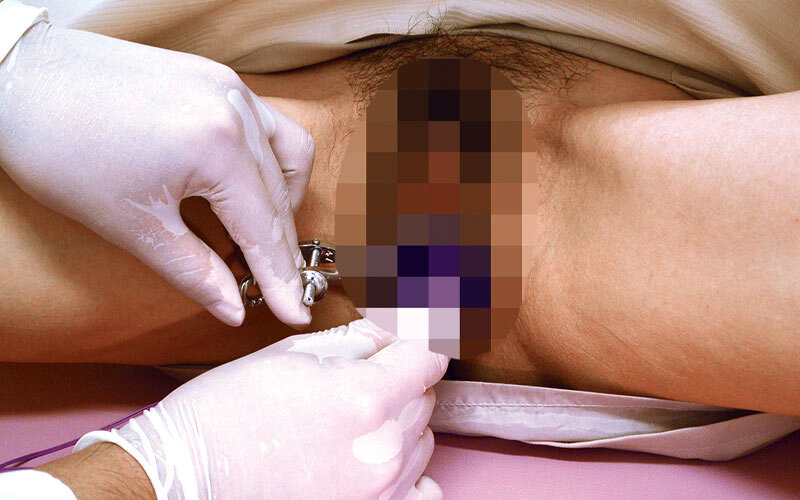 サンプル画像 3