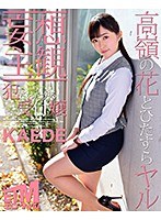 パッケージ画像