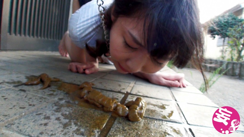 サンプル画像 11