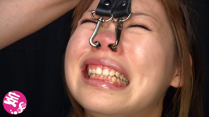 サンプル画像 9