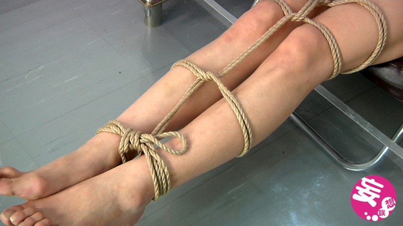 サンプル画像 9