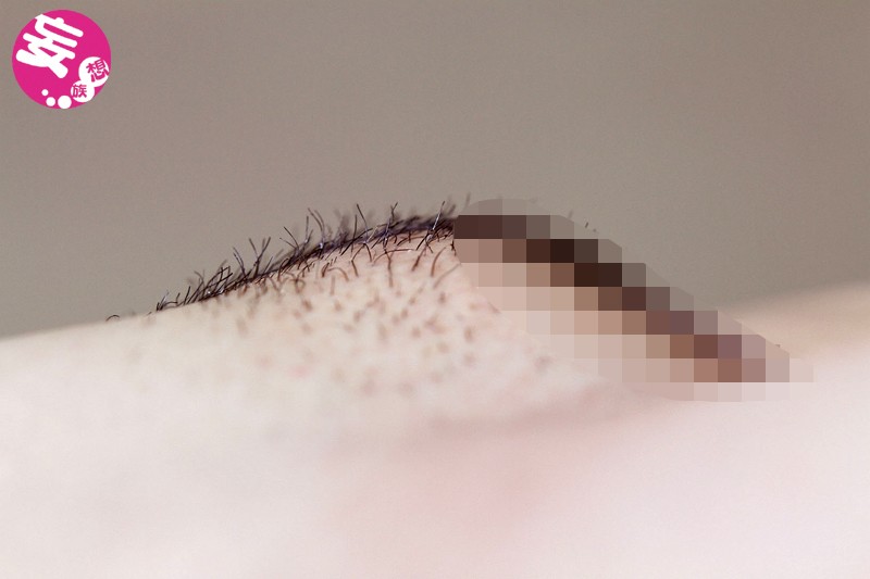 サンプル画像 11