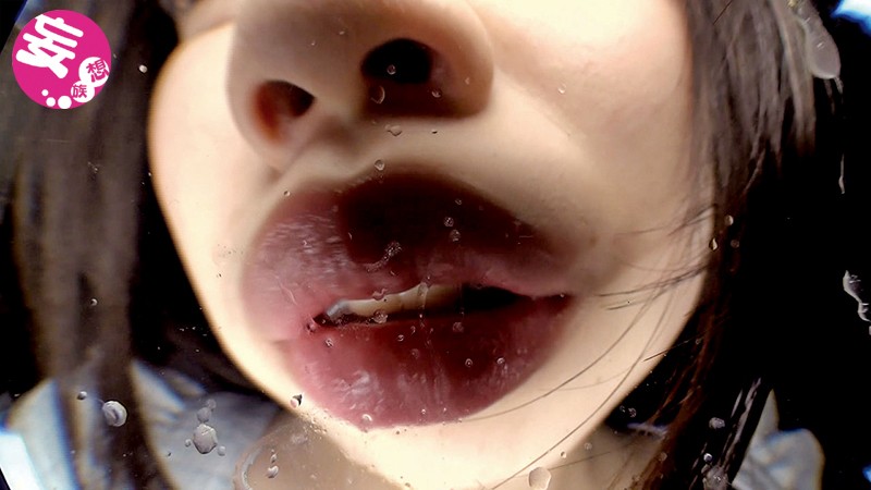 サンプル画像 5