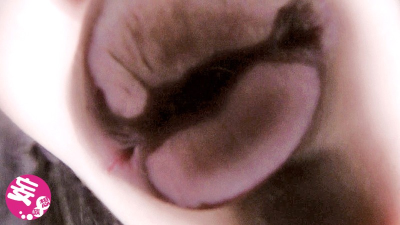 サンプル画像 4