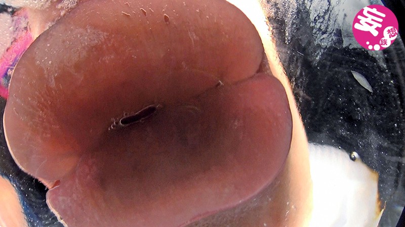 サンプル画像 7