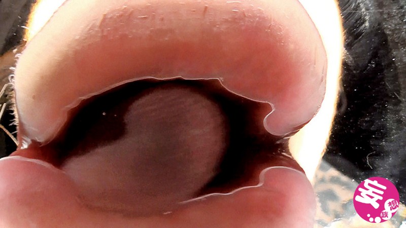 サンプル画像 9