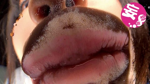 サンプル画像 4