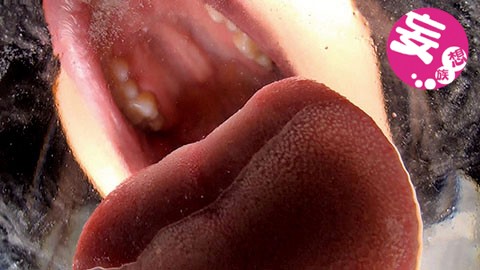 サンプル画像 5